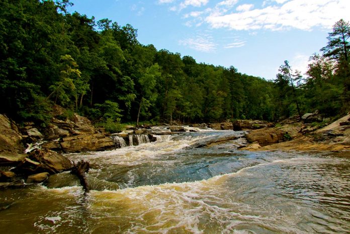 River flowing through woods.
