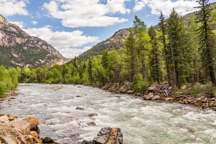 Rippling river through woods with mountains in background