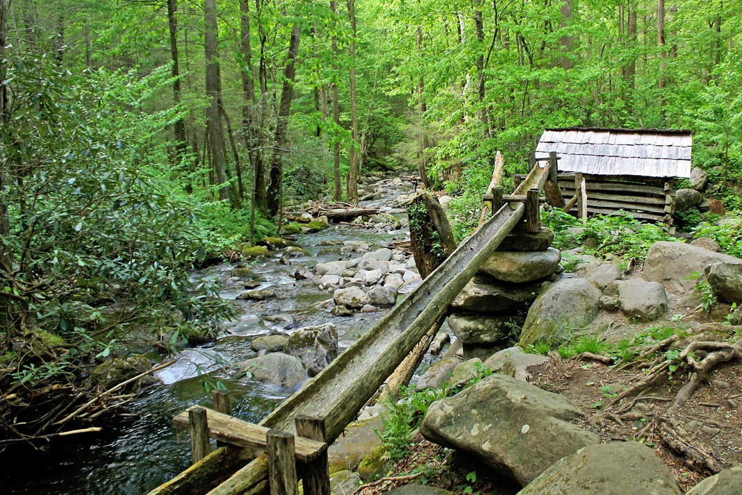 Log chute beside a stream in the forest