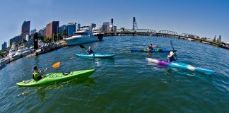 Kayakers on the water outside of a city