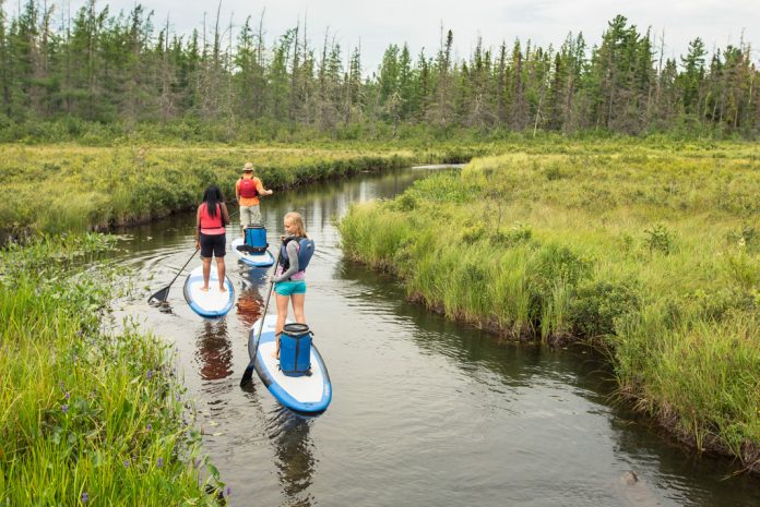 Three people paddleboarding down narrow waterway