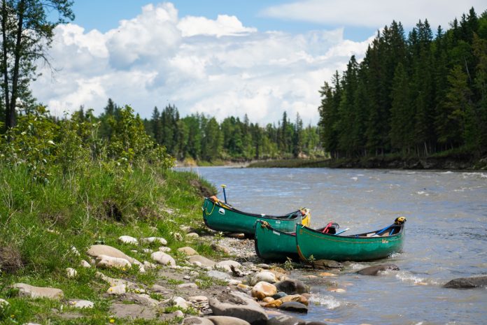 Two green canoes pulled over to the side of a river