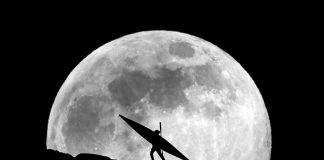 A kayaker silhouetted against the full moon