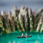 How To Canoe On Jell-O Macro photography setup with miniature canoeists and jell-o lake