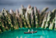 Macro photography setup with miniature canoeists and jell-o lake