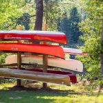 DIY Canoe Tree Behold: the family diy canoe tree. | Photo: Michael Hewis