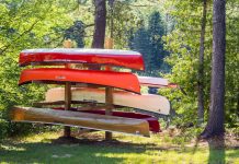 DIY Canoe Tree Behold: the family diy canoe tree. | Photo: Michael Hewis