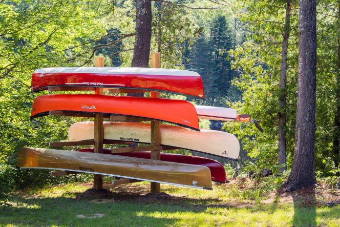 Behold: the family diy canoe tree. | Photo: Michael Hewis