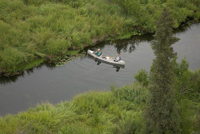 Photo by Marcia Pradines, USFWS: Okefenokee National Wildlife Refuge in Georgia is one of the many rivers now accessible on nationalriversproject.com. Here, visitors may spot black bear, cranes, alligators and tortoises!