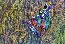 Overhead shot of group of kayakers.