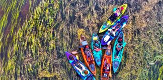 Overhead shot of group of kayakers.