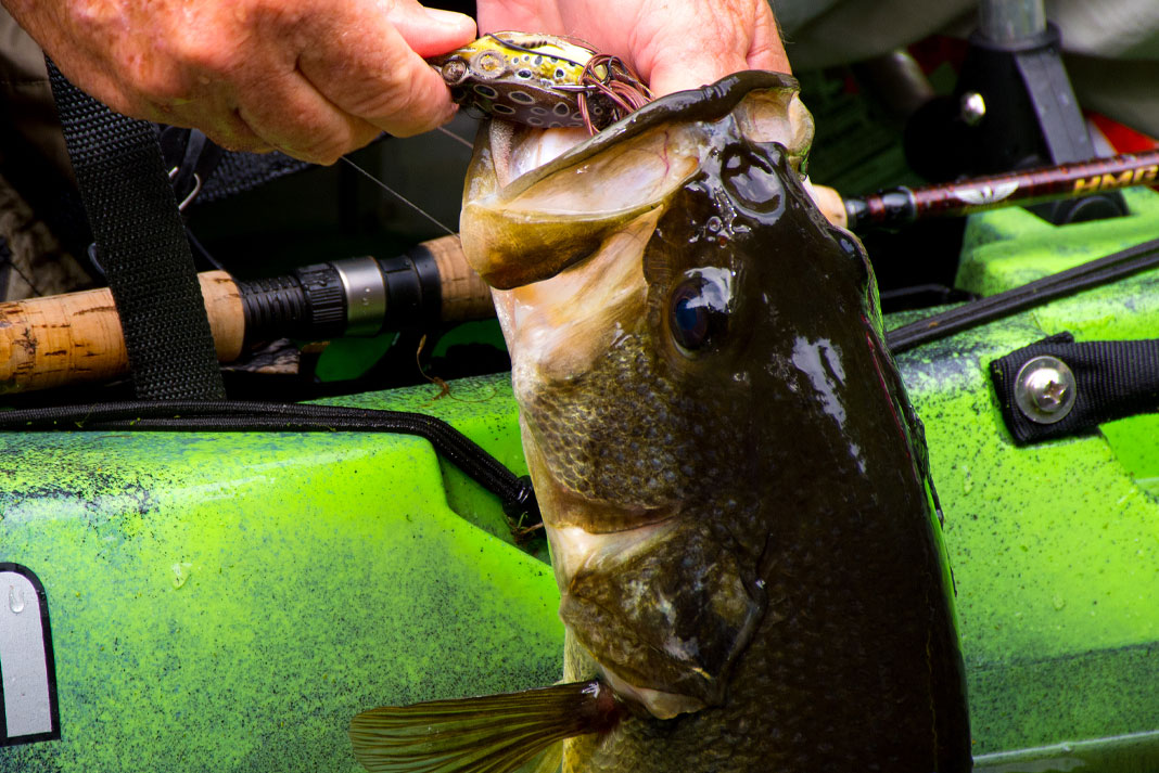 Catching a largemouth is the first step in a bass slam. | Photo: Chris Funk