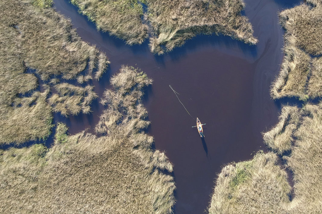 overhead shot of an angler fishing in grassy backwater flats