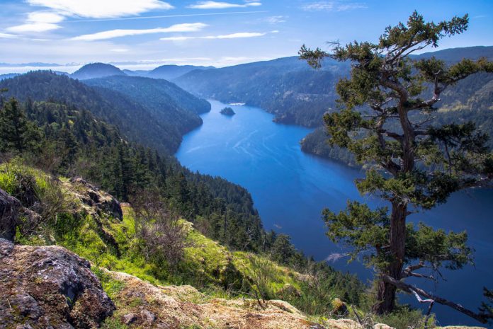 A view of the Saanich Inlet in British Columbia