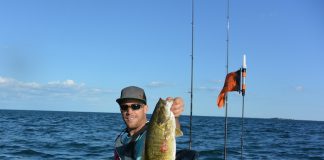 "Using twitch baits, drop shots, or dragging tube are sure to get some acrobatic bruisers on your line." Photos: Barna Robinson