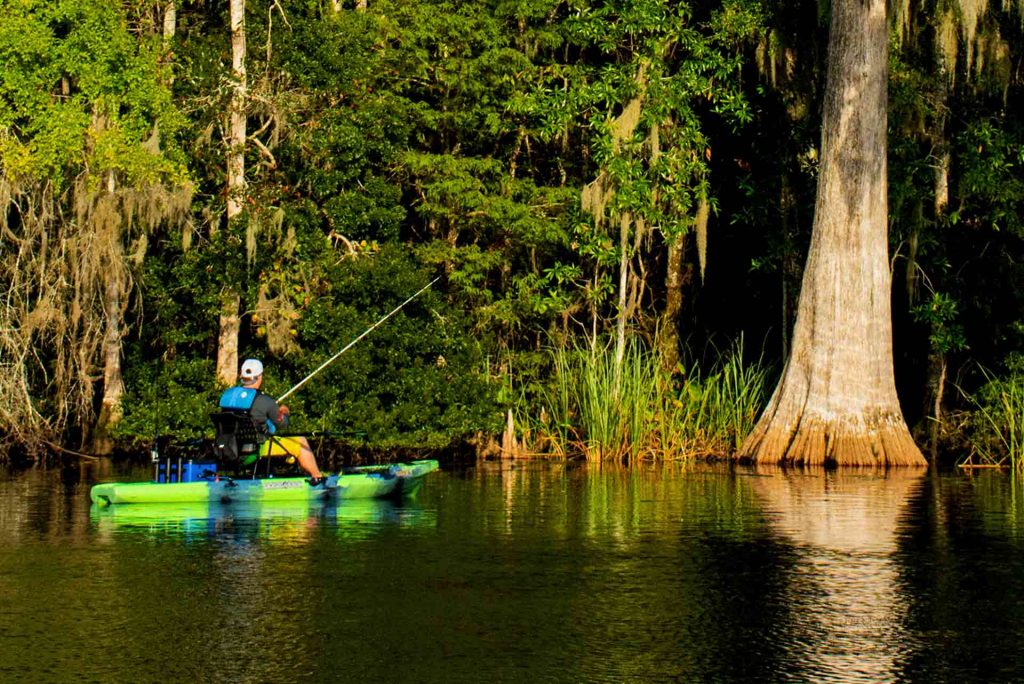 Rediscover A1 Fishing On Florida’s Coast Kayak Angler