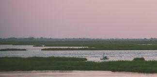 kayak anger fishing at sunset at Point Aux Chene Louisianat