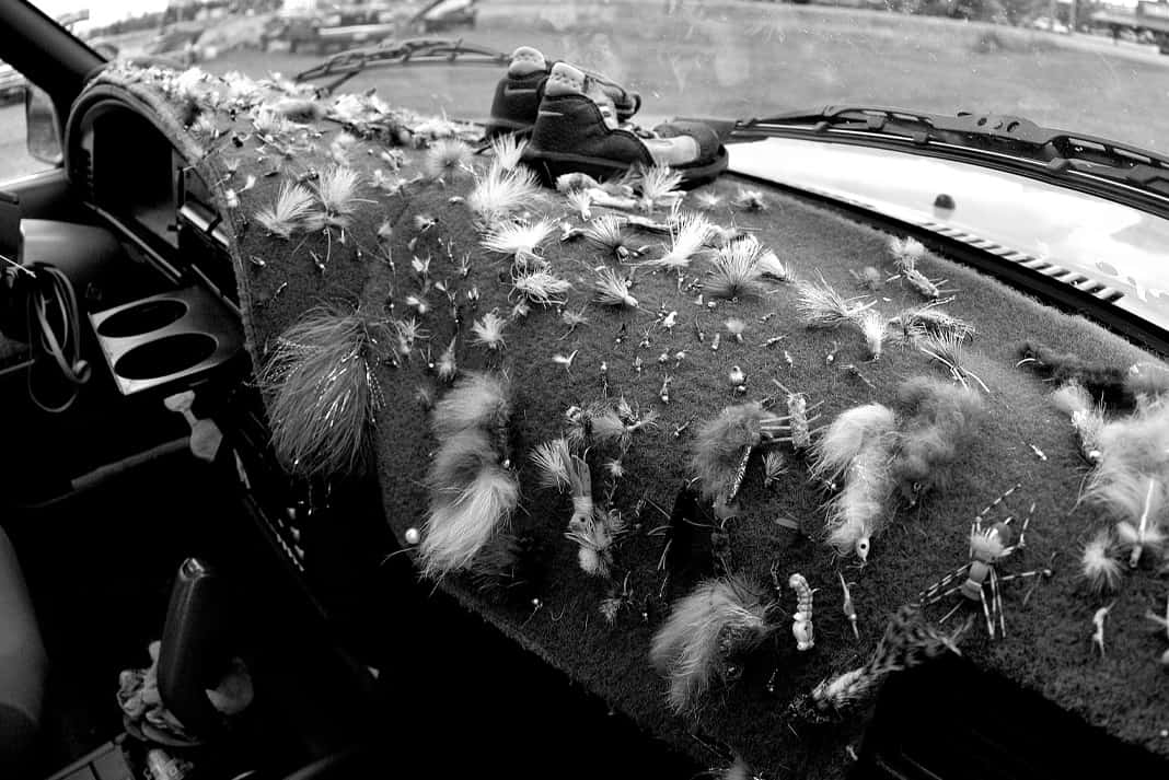 black and white shot of many fly fishing flies on a fuzzy automobile dash