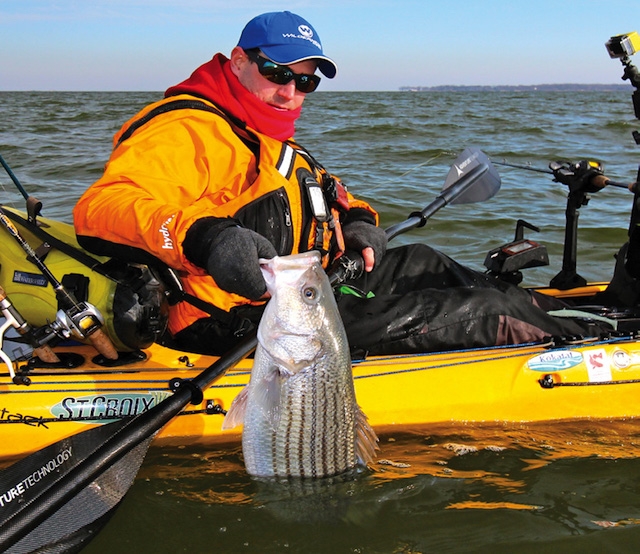 Vertical jigging a soft plastic and leadhead will pull striper from warm-water discharges. Photo: Jeff Little
