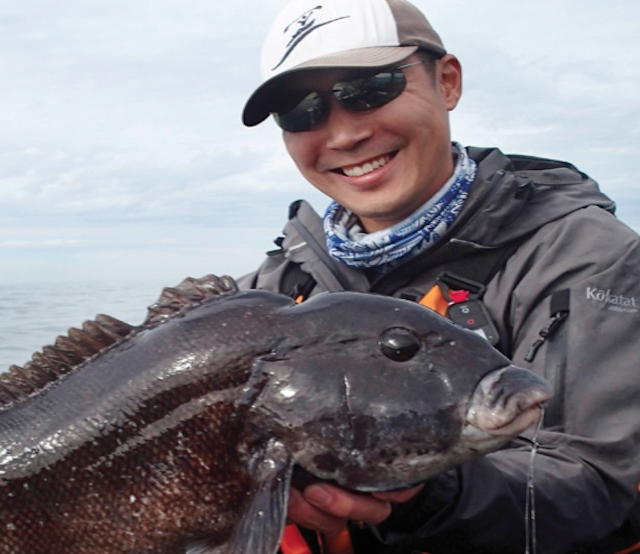 Tautog, also known as blackfish, are a burly bottom feeder that inhabits rocks and wrecks. Photo: Rob Choi