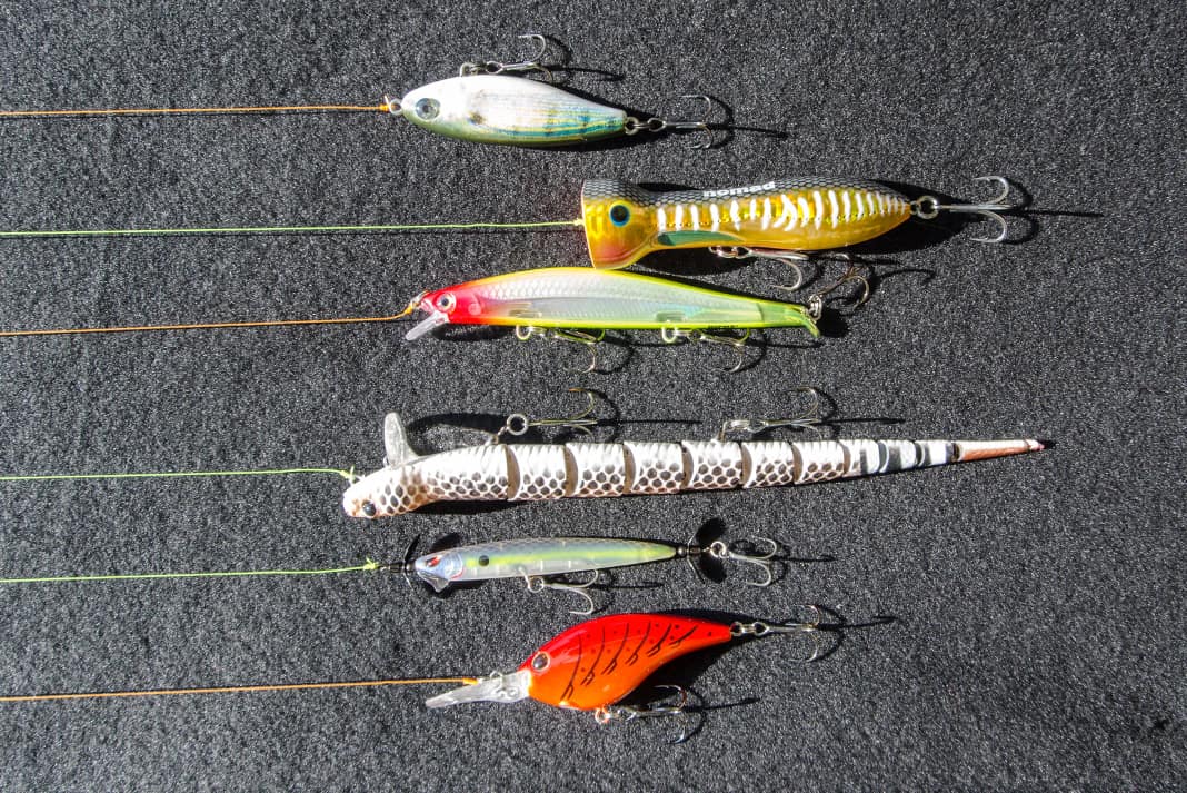 Hard Baits - Lures