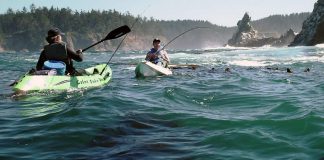 two fisherman in cobra kayaks