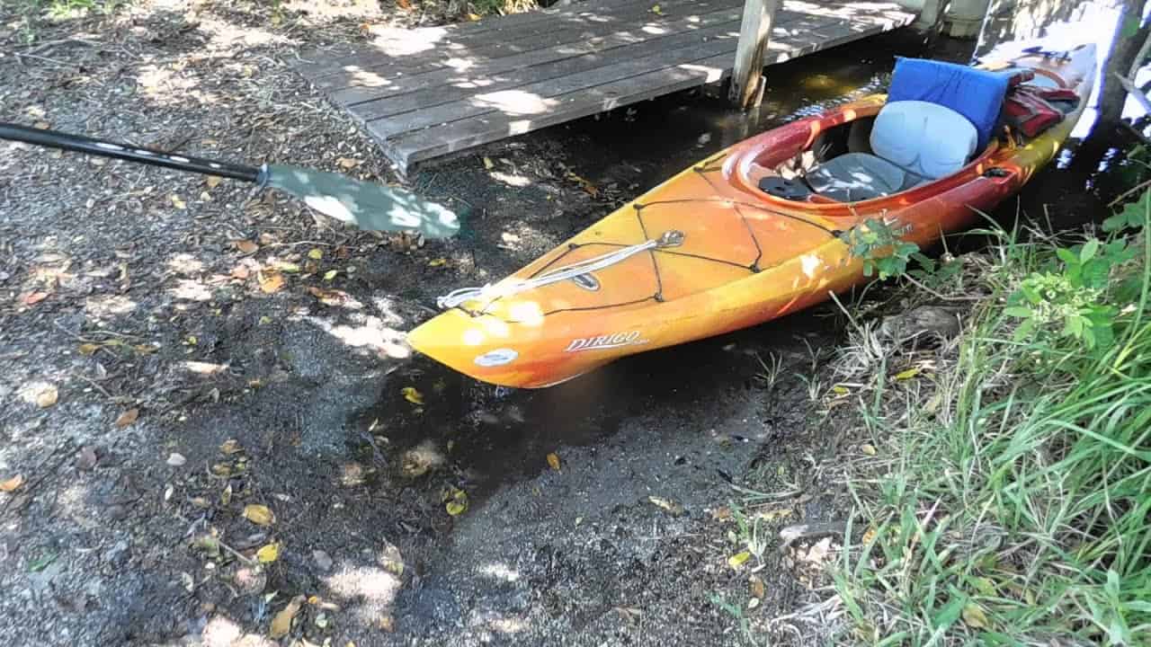 Backwater Assassin Paddle