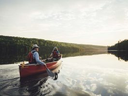 A couple paddles a red canoe across a lake in Algonquin Park