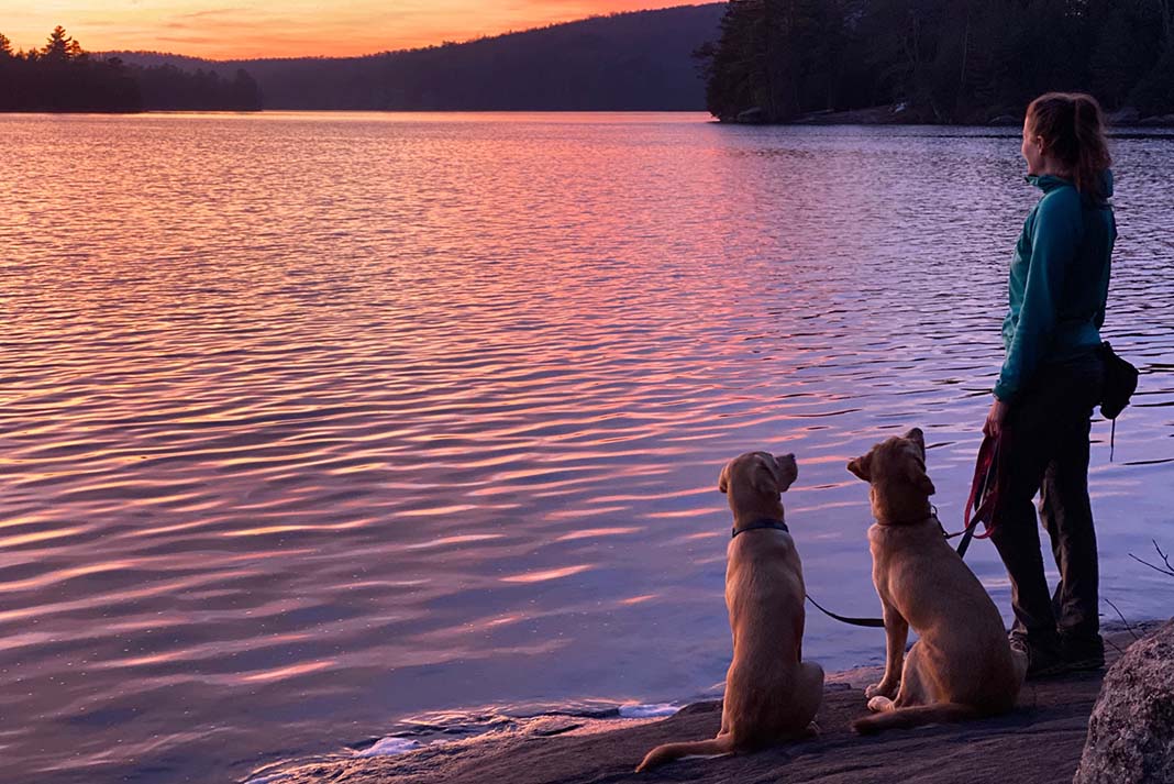 A woman stands with two dogs overlooking sunset in Rock Lake Algonquin Park