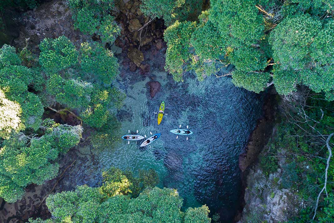 Top down view of kayaks in the water surrounded by trees