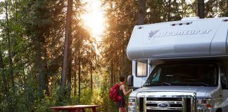 Campervan camping in a Vancouver Island forest