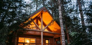 A lit cabin in the woods of Vancouver Island