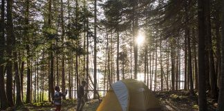 Sun shines through the trees at a Mont Tremblant camping site
