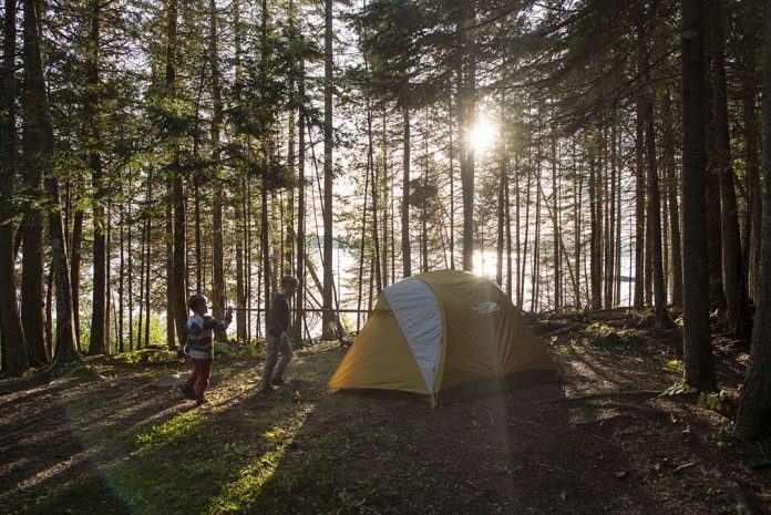 Sun shines through the trees at a Mont Tremblant camping site