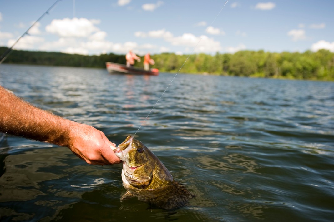 Hold a bass in an Ontario lake