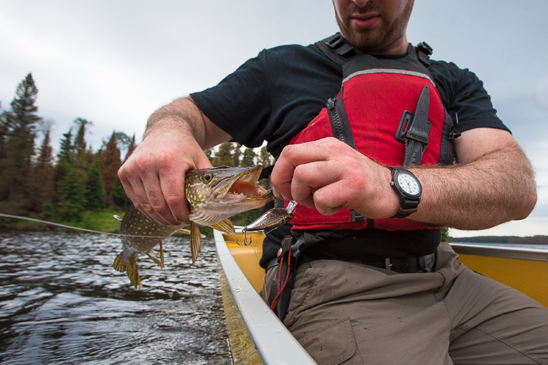 Fishing by canoe in Algonquin Park