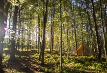 Best Places To Go Camping In And Near Montreal Paddling Magazine