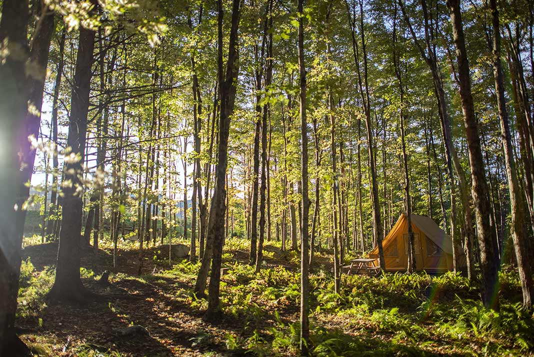 A yellow tent in a sunny forest while camping near Montreal