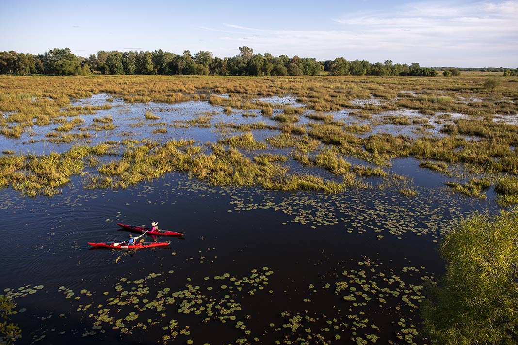 Two kayakers navigate wetlands in Montreal