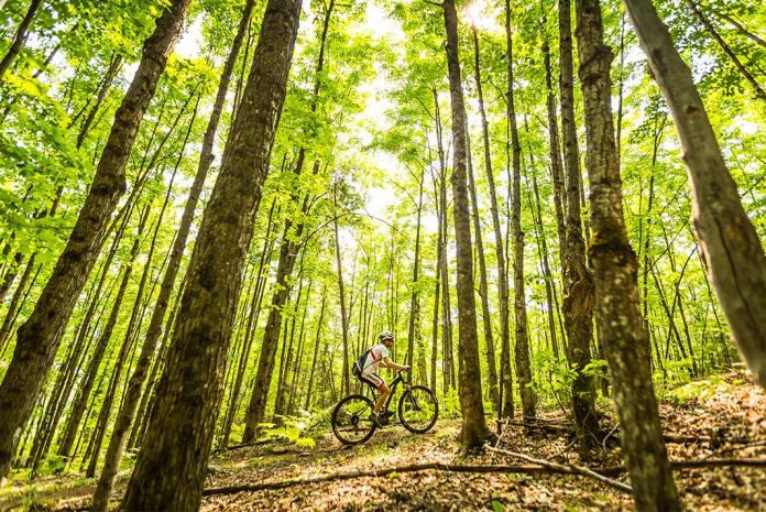 0Mountain biking is one of the popular summar activities in Mont Tremblant