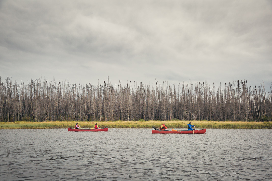 Two red canoes paddling on a lake with remains of forest fire in background