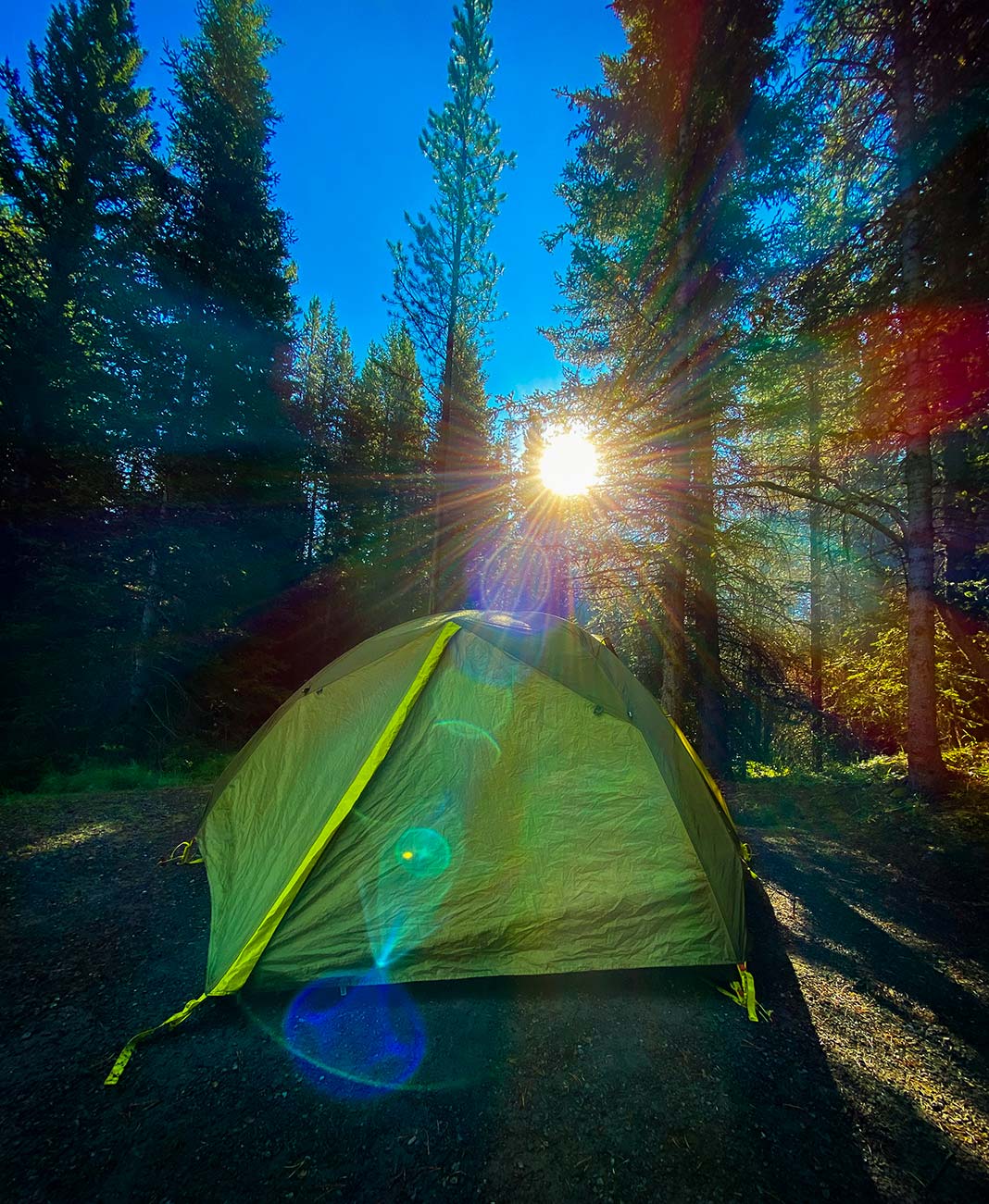 Tent with sunshine shining through the trees