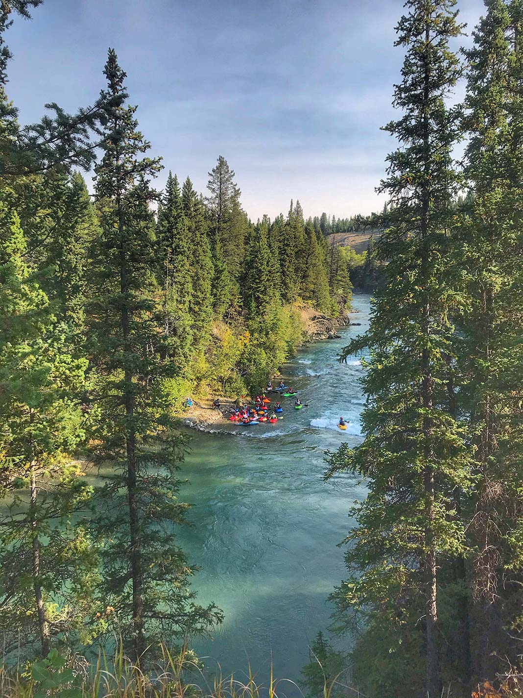 Photo from a distance through trees of group of kayakers gathered on a river