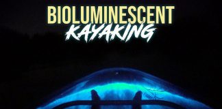bioluminescent kayaking in Florida