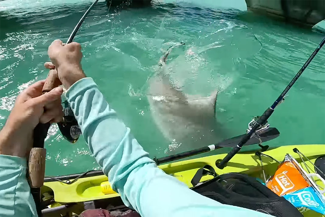https://paddlingmagazine-images.s3.amazonaws.com/2021/03/kayak-fishing-shark-encounter.jpg