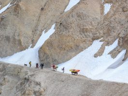 Four people, a dog, and two yaks carrying whitewater kayaks, walking along a narrow path on the side of a mountain with snow.