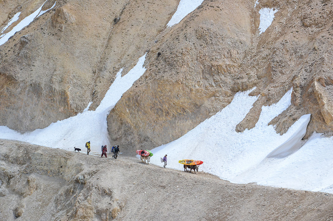 Four people, a dog, and two yaks carrying whitewater kayaks, walking along a narrow path on the side of a mountain with snow.