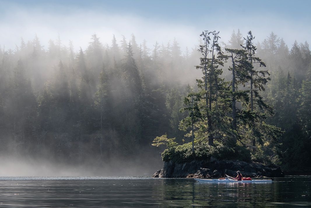 Person in sea kayak with trees and misty in background.