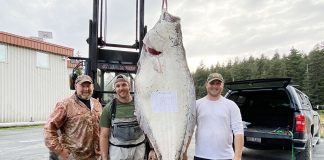 three men posing with a 186-pound halibut, an unofficial world record catch by kayak
