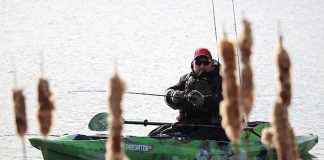 man kayak fishing in front of cattails